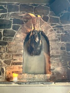 A goat friend downstairs at The Bull & Castle