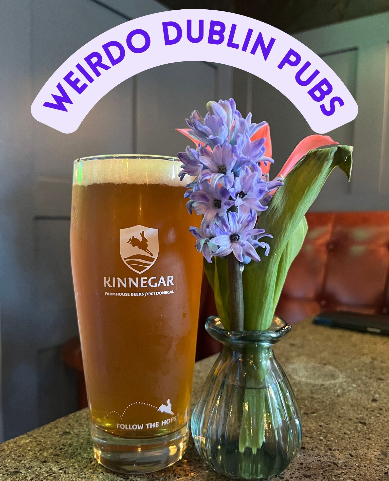 Weirdo Guide to Dublin Pubs