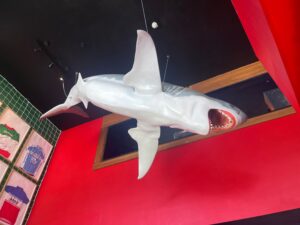 A model shark at Token